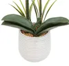 Atmosphera Kunstliche Pflanze Orchidee - weise Bluten - im Produktbild-Vorschau 4