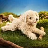 Folkmanis Handpuppe Pudelwelpe weiß / White Poodle Puppy Produktbild-Vorschau 5