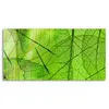 DEQORI Glasbild Echtglas 60x30 cm 'Transparente Produktbild-Vorschau 2