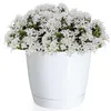 COUBI DUOP135 Blumentopf mit Untersetzer | Weiß Produktbild-Vorschau 5