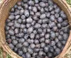 Patawa (Oenocarpus bataua)  - 3 pezzi Anteprima dell’immagine prodotto 2