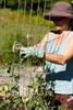 Mechanix Ethel Garden Womens Utility Glove : Grün M Produktbild-Vorschau 12