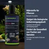 Dennerle All in One Elixir, 250 ml - Die Aquarium Produktbild-Vorschau 4