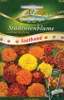 Saatband Studentenblumen, niedrige Mischung Produktbild-Vorschau 1