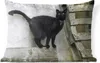 MuchoWow® Outdoor Kissen - Katze - Schwarz - Palette - Produktbild-Vorschau 1