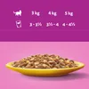 A size chart for cat food, showing different weights and corresponding feeding amounts, with a bowl of cat food below. Produktbild-Vorschau