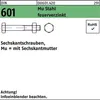 Reyher  Sechskantschrauben DIN 601 Mu St. M 16x180 tZn (25 Produktbild-Vorschau 1