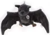 A plush toy bat hanging against a white background. Produktbild-Vorschau