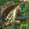 Unser Wald / Forest Nature 2027 Produktbild-Vorschau 9
