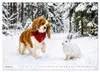 Cavalier King Charles Spaniel - Ein Jahr voller Erlebnisse Produktbild-Vorschau 4