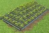 Blumenkasten Pflanzpyramide Kräuterbeet Kräuterpyramide Produktbild-Vorschau 2