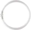 Philips 22 W G10q fluorescente lamp B Neutraal wit Produktbild-Vorschau 1