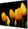 Glas Herdabdeckplatte 60x52 cm Spritzschutz Produktbild-Vorschau 1