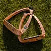 Samshield Steigbügel Scudo´Rup Oro rosa spazzolato Anteprima dell’immagine prodotto 12