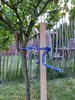 Houten Paaltjes van Beukenhout 25 Stuks 120 cm - Vierkant Productafbeelding-voorbeeld 6