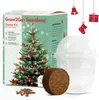 GROW2GO Dein eigener Weihnachtsbaum zum selber Pflanzen - Produktbild-Vorschau 1
