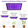 600W LED Pflanzenlampe, Vollspektrum Rot Blau Weiß, 256 Produktbild-Vorschau 2