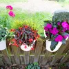 Blumenkasten mit Halterung Flowerclip für Geländer 3er Set Produktbild-Vorschau 3