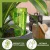 Scheurich Wasserspender Copa XL | 1x Grün | 500 ml Produktbild-Vorschau 3