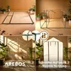AREBOS Premium Foliengewächshaus 120x186x190 cm | 2 Ebenen, Produktbild-Vorschau 5