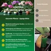Garden Luxvitality sprej pro orchideje s 16 stopovými Náhled obrázku produktu 2