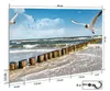 Wallario Handtuchhalter aus Glas, Motiv: Fliegende Möwe am Produktbild-Vorschau 2