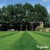 Topdressing Trawników – Mieszanka z Mykoryzą i Podgląd zdjęcia produktu 9