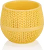 Lot de 6 pots de fleurs pour cactus de différentes Voir les images du produit 2