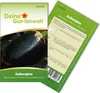 Aubergine Black Beatuy Samen - Solanum melongena - Produktbild-Vorschau 1