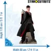 Harry Potter Pappaufsteller (Stand Up) - Harry Potter Produktbild-Vorschau 2