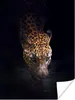 MuchoWow® Poster Trinkender Jaguar 120x160 cm - Wandbilder Produktbild-Vorschau 1