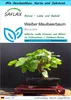 SAFLAX - Geschenk Set - Bonsai - Weißer Maulbeerbaum - 200 Produktbild-Vorschau 1