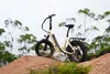 Vélo électrique 48 V 18 Ah, pneus larges 20 x 4,0 pouces, Voir les images du produit 7