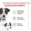 Royal Canin SHN Mini Starter M&B 4kg Produktbild-Vorschau 4
