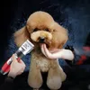 Schermaschine Hunde Tierhaarschneidemaschine Leise Produktbild-Vorschau 5