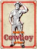Metallschild in 15x20 cm mit sexy Cowboy und Spruch - Ich Produktbild-Vorschau 1