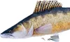 GABY cuscino peluche pesce peluche peluche pesce peluche Anteprima dell’immagine prodotto 3