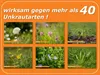 CELAFLOR® Rasen-Unkrautfrei Weedex 100 ml Produktbild-Vorschau 5
