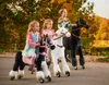 Three children riding toy horses in an outdoor setting with autumn foliage. Anteprima dell’immagine prodotto
