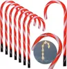 A set of red and white striped candy canes arranged in a fanned out pattern, with one candy cane hanging and illuminated. Voir les images du produit