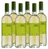 Grüner Veltliner Drei Junge Wilde NÖ QUW 2025 Produktbild-Vorschau 2