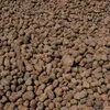 A pile of expanded clay aggregate, commonly used for drainage in gardening. Produktbild-Vorschau