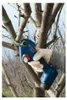 Bosch Akku-Gartenschere 12V GGP12V-25 Produktbild-Vorschau 5