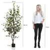 Sztuczna roślina Mica Decorations Eucalyptus w doniczce - Podgląd zdjęcia produktu 2