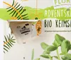 BIO Keimsprossen Adventskalender | Adventskalender von Produktbild-Vorschau 7
