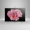Bild auf Leinwand - Leinwandbild - 3 Teile - Hibiskus Blume Produktbild-Vorschau 3