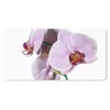 MuchoWow® Mauspad Mousepad Rosa Orchideenblüte 60x30 cm - Produktbild-Vorschau 1