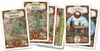 Asmodee DW720130, Gra planszowa, Strategia, 8 lat(a), 30 Podgląd zdjęcia produktu 8