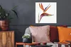 MuchoWow® Poster Strelitzia - Aquarell - Blumen 50x50 cm - Produktbild-Vorschau 2