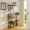 A multi-tiered shelf unit filled with plants and decorative items, placed near a doorway leading to a garden. Voir les images du produit